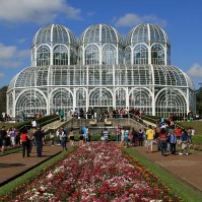 AMC Brazil botanical