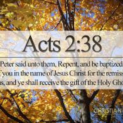 AMC Acts2 28