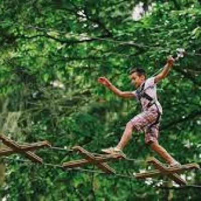AMC Go Ape