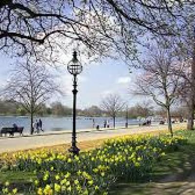 AMC London parks