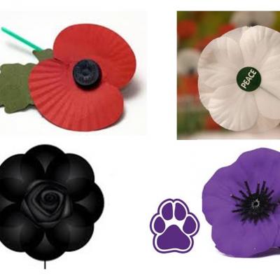 AMC Poppies