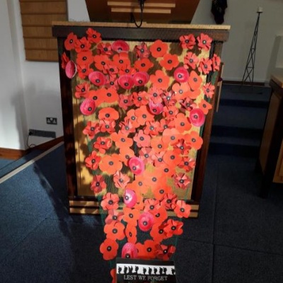 AMC Rembrance poppies