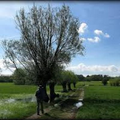 AMC River Thame