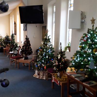 AMC Trees 2018